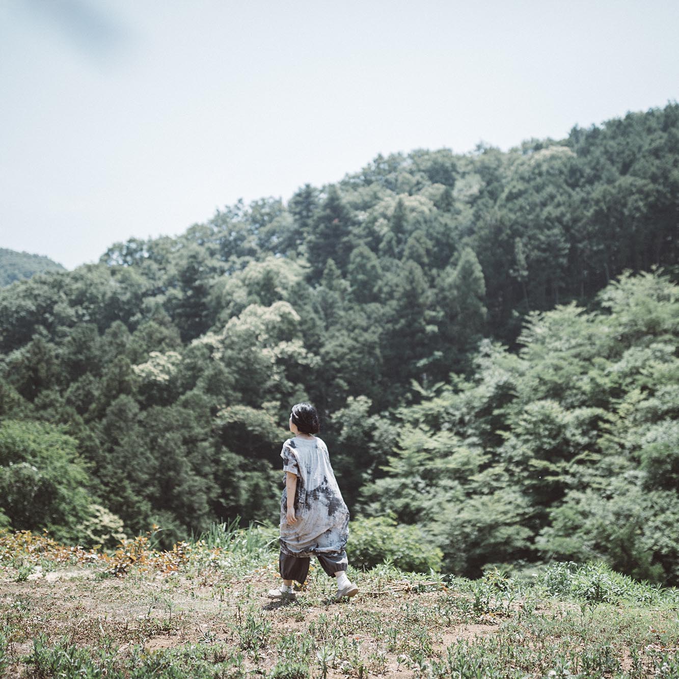 第1回 藤野のお山の食まわり ローカルの良さは 食 のなかに見えてくる Mo Take Magazine モッテイクマガジン