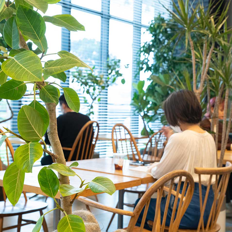 植物に囲まれて過ごすカフェタイム。「Green POP UP」で、人と緑が